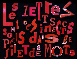 Michèle Métail, Gigantexte n°4 : Les lettres sont des insectes pris dans le filet des mots, 1997.