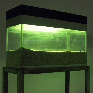 Claire Isorni, Dune, 2017.