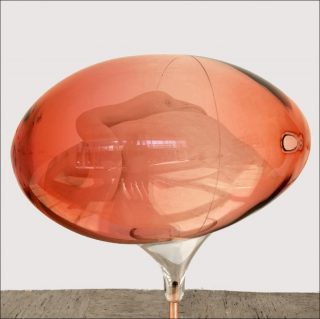 Emma Perrochon, Oologie #2, 2018.