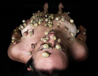 Léa Le Bricomte, Snail Invasion, 2010.