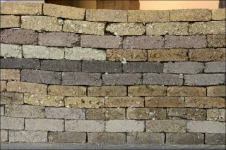 Guillaume Barborini, Microbiologie des ruines, 2020.