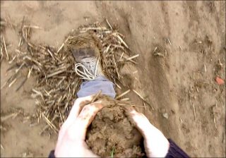 Guillaume Barborini, Le premier territoire (I), 2018.