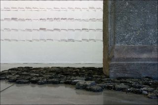 Guillaume Barborini, Les peaux mortes (Replier une ligne de front), 2020.