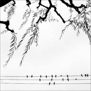 Bernard Descamps, Arbre Tokyo, Japon, 1995.