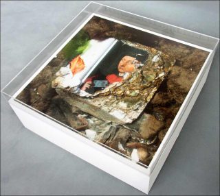 Mathieu Harel Vivier, Sauver des eaux (n°1), Venise, 2010.