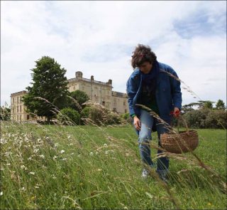 Julie C. Fortier, Le temps pour horizon