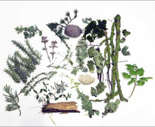 ulie C. Fortier, Le temps pour l’horizon