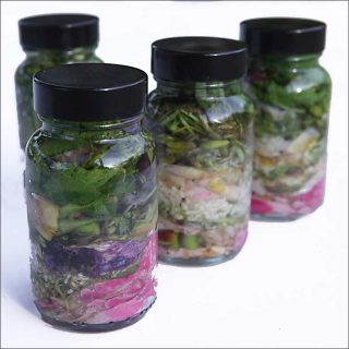 Julie C. Fortier, Le temps pour horizon