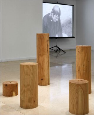 Fabrice Samyn, Écho, 2014